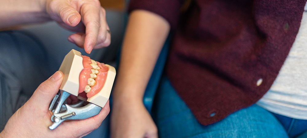 Dr. Ficca pointing at a model of gums and teeth